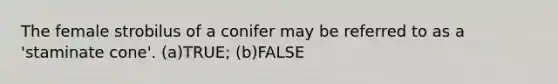 The female strobilus of a conifer may be referred to as a 'staminate cone'. (a)TRUE; (b)FALSE