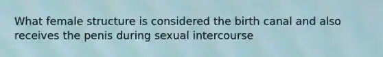 What female structure is considered the birth canal and also receives the penis during sexual intercourse