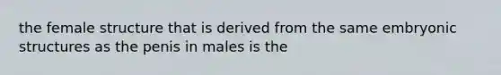 the female structure that is derived from the same embryonic structures as the penis in males is the