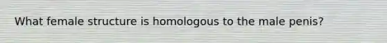 What female structure is homologous to the male penis?