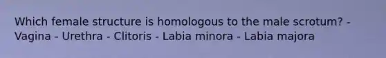 Which female structure is homologous to the male scrotum? - Vagina - Urethra - Clitoris - Labia minora - Labia majora