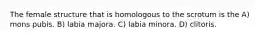 The female structure that is homologous to the scrotum is the A) mons pubis. B) labia majora. C) labia minora. D) clitoris.