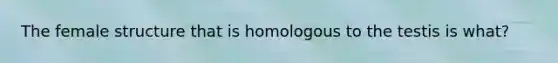 The female structure that is homologous to the testis is what?