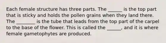 Each female structure has three parts. The ______ is the top part that is sticky and holds the pollen grains when they land there. The ________ is the tube that leads from the top part of the carpel to the base of the flower. This is called the ______, and it is where female gametophytes are produced.