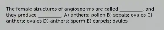 The female structures of angiosperms are called __________, and they produce __________. A) anthers; pollen B) sepals; ovules C) anthers; ovules D) anthers; sperm E) carpels; ovules