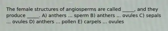 The female structures of angiosperms are called _____, and they produce _____. A) anthers ... sperm B) anthers ... ovules C) sepals ... ovules D) anthers ... pollen E) carpels ... ovules