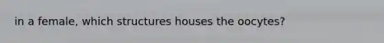 in a female, which structures houses the oocytes?