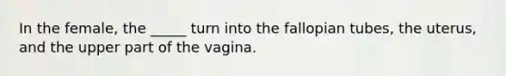 In the female, the _____ turn into the fallopian tubes, the uterus, and the upper part of the vagina.