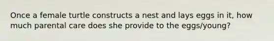 Once a female turtle constructs a nest and lays eggs in it, how much parental care does she provide to the eggs/young?