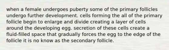 when a female undergoes puberty some of the primary follicles undergo further development. cells forming the all of the primary follicle begin to enlarge and divide creating a layer of cells around the developing egg. secretion of these cells create a fluid-filled space that gradually forces the egg to the edge of the follicle it is no know as the secondary follicle.