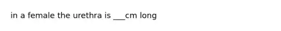 in a female the urethra is ___cm long