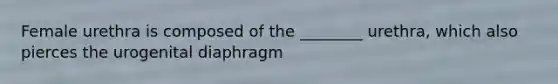 Female urethra is composed of the ________ urethra, which also pierces the urogenital diaphragm