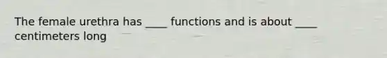 The female urethra has ____ functions and is about ____ centimeters long