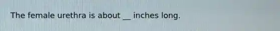 The female urethra is about __ inches long.