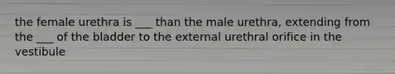 the female urethra is ___ than the male urethra, extending from the ___ of the bladder to the external urethral orifice in the vestibule