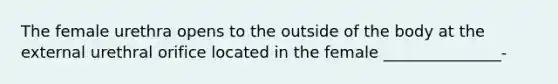 The female urethra opens to the outside of the body at the external urethral orifice located in the female _______________-