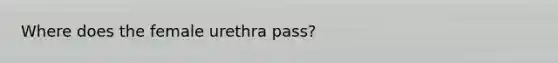 Where does the female urethra pass?