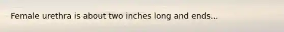 Female urethra is about two inches long and ends...