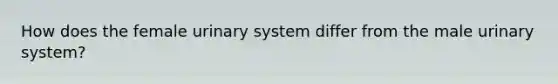 How does the female urinary system differ from the male urinary system?