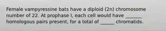 Female vampyressine bats have a diploid (2n) chromosome number of 22. At prophase I, each cell would have _______ homologous pairs present, for a total of ______ chromatids.