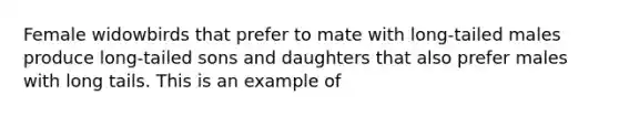 Female widowbirds that prefer to mate with long-tailed males produce long-tailed sons and daughters that also prefer males with long tails. This is an example of