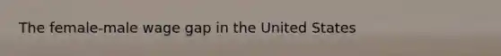 The female-male wage gap in the United States