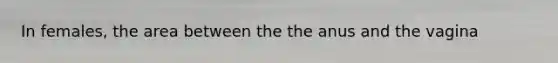 In females, the area between the the anus and the vagina