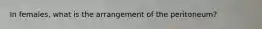 In females, what is the arrangement of the peritoneum?