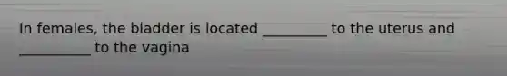 In females, the bladder is located _________ to the uterus and __________ to the vagina