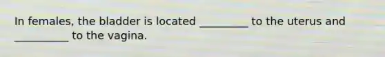 In females, the bladder is located _________ to the uterus and __________ to the vagina.
