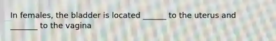 In females, the bladder is located ______ to the uterus and _______ to the vagina