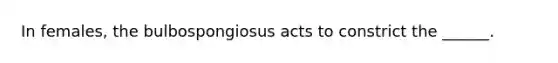 In females, the bulbospongiosus acts to constrict the ______.