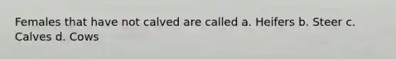 Females that have not calved are called a. Heifers b. Steer c. Calves d. Cows