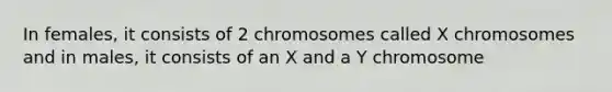 In females, it consists of 2 chromosomes called X chromosomes and in males, it consists of an X and a Y chromosome