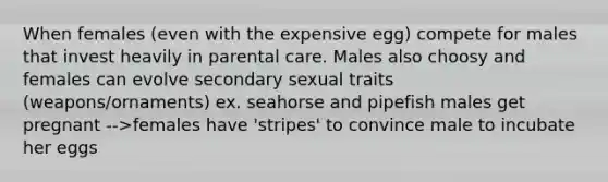 When females (even with the expensive egg) compete for males that invest heavily in parental care. Males also choosy and females can evolve secondary sexual traits (weapons/ornaments) ex. seahorse and pipefish males get pregnant -->females have 'stripes' to convince male to incubate her eggs