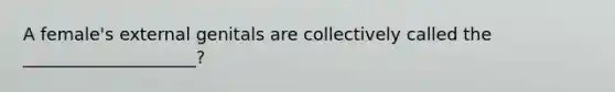 A female's external genitals are collectively called the ____________________?