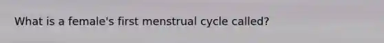 What is a female's first menstrual cycle called?