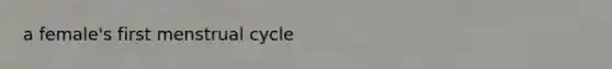 a female's first menstrual cycle