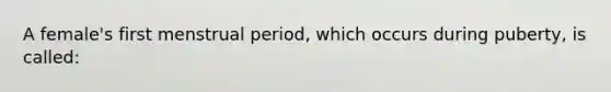 A female's first menstrual period, which occurs during puberty, is called: