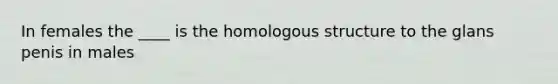 In females the ____ is the homologous structure to the glans penis in males