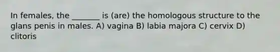 In females, the _______ is (are) the homologous structure to the glans penis in males. A) vagina B) labia majora C) cervix D) clitoris