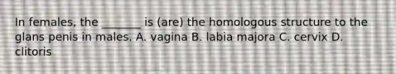 In females, the _______ is (are) the homologous structure to the glans penis in males. A. vagina B. labia majora C. cervix D. clitoris