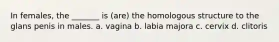 In females, the _______ is (are) the homologous structure to the glans penis in males. a. vagina b. labia majora c. cervix d. clitoris