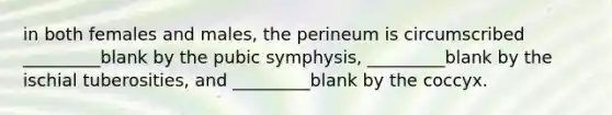 in both females and males, the perineum is circumscribed _________blank by the pubic symphysis, _________blank by the ischial tuberosities, and _________blank by the coccyx.