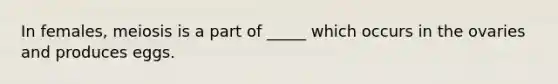 In females, meiosis is a part of _____ which occurs in the ovaries and produces eggs.