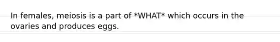In females, meiosis is a part of *WHAT* which occurs in the ovaries and produces eggs.