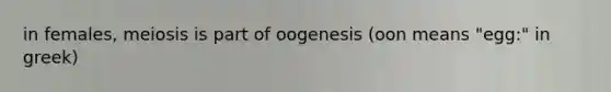 in females, meiosis is part of oogenesis (oon means "egg:" in greek)