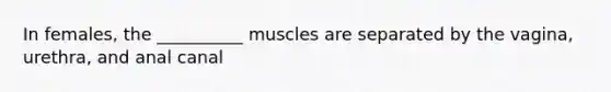 In females, the __________ muscles are separated by the vagina, urethra, and anal canal