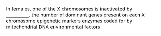 In females, one of the X chromosomes is inactivated by __________. the number of dominant genes present on each X chromosome epigenetic markers enzymes coded for by mitochondrial DNA environmental factors