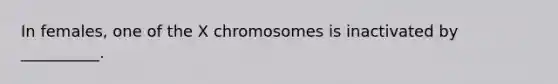 In females, one of the X chromosomes is inactivated by __________.